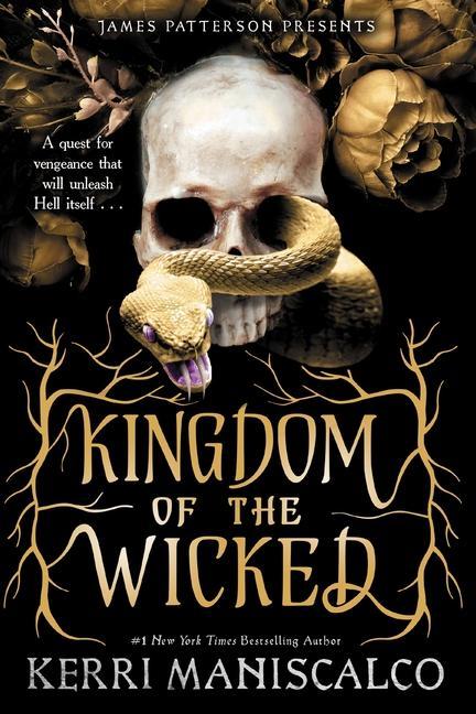 Kniha Kingdom of the Wicked 