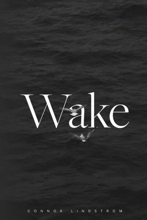 Knjiga Wake Connor Lindstrom