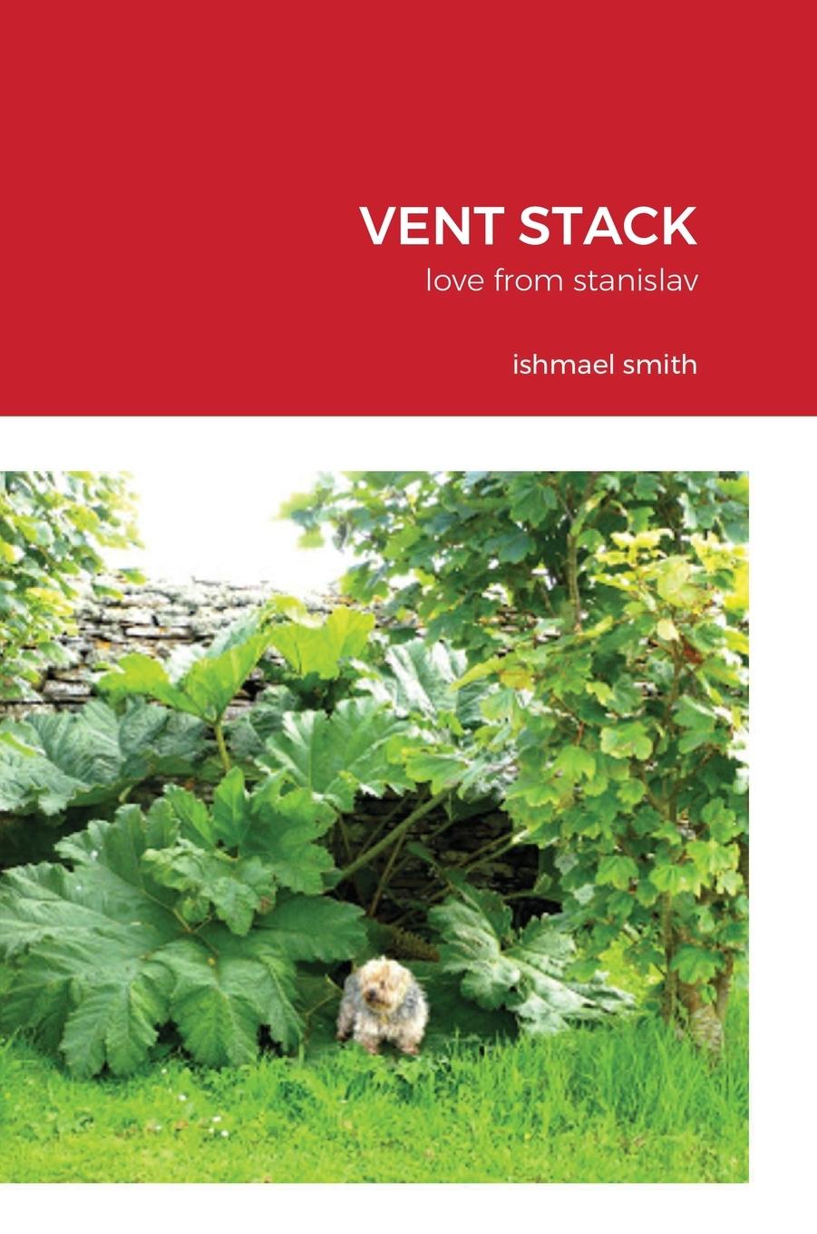 Knjiga Vent Stack Ishmael Smith