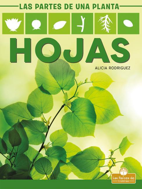 Knjiga Hojas (Leaves) Pablo De La Vega