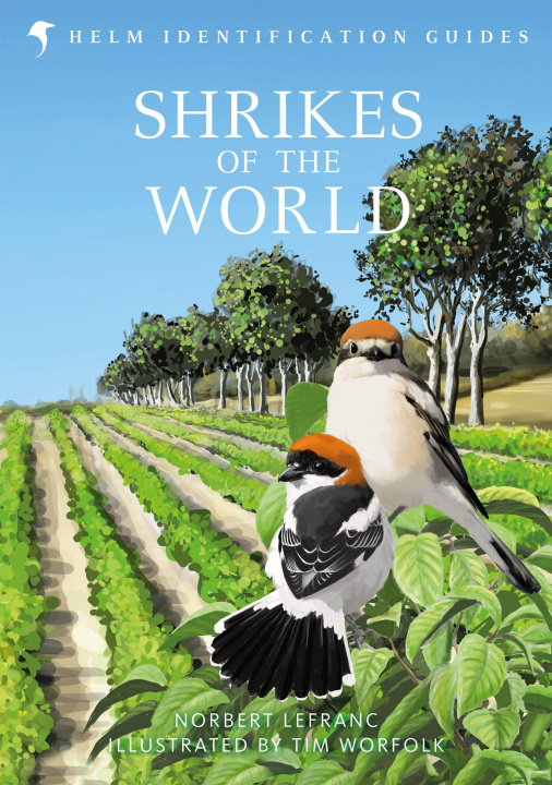 Kniha Shrikes of the World Tim Worfolk