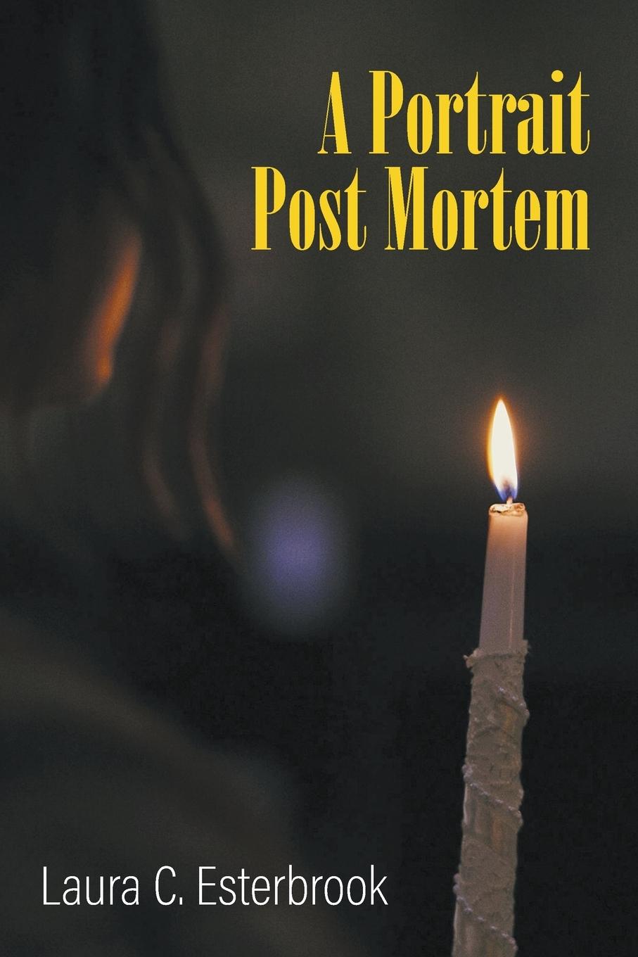 Knjiga Portrait Post Mortem Laura C. Esterbrook