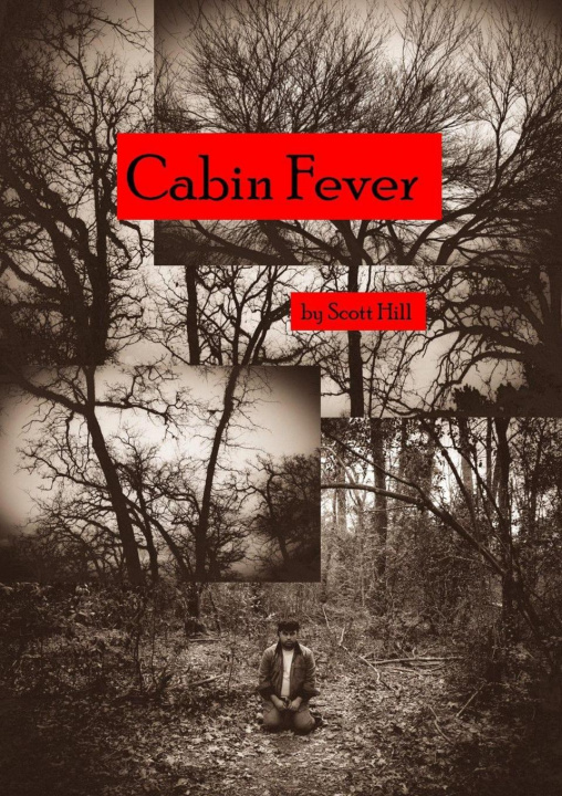 Knjiga Cabin Fever Scott Hill
