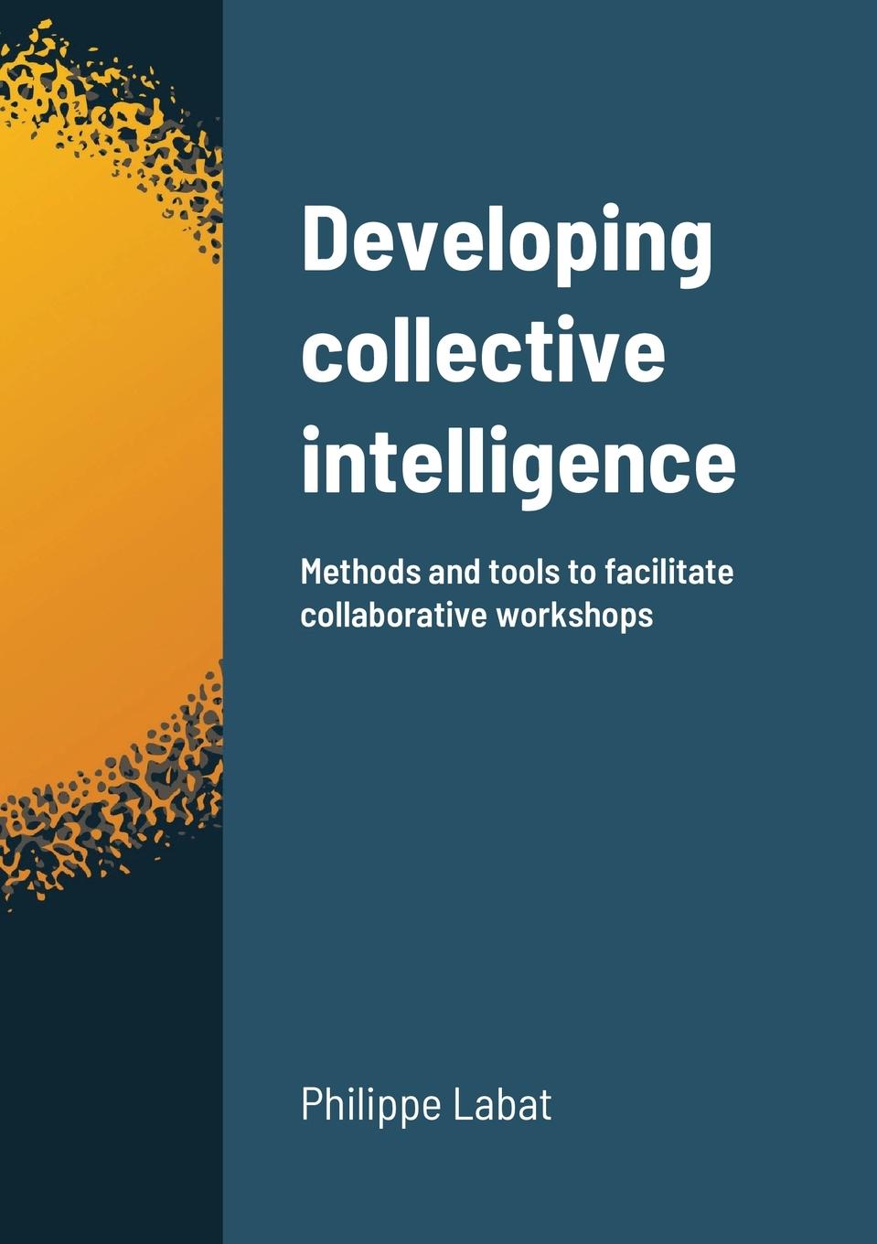 Knjiga Developing collective intelligence Philippe Labat