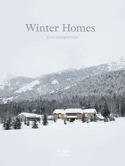 Книга Winter Homes 