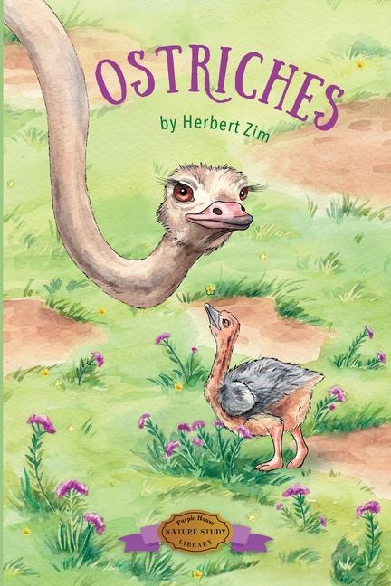 Knjiga Ostriches HERBERT ZIM