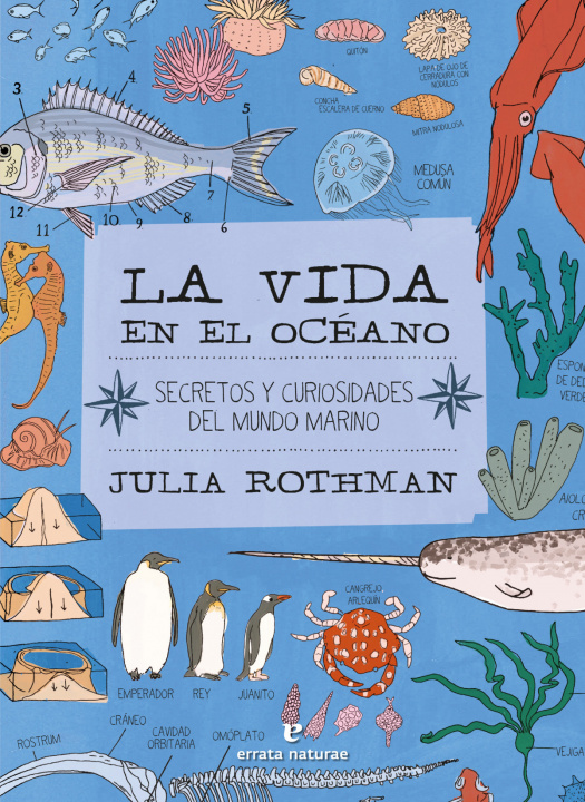 Kniha La vida en el océano JULIA ROTHMAN