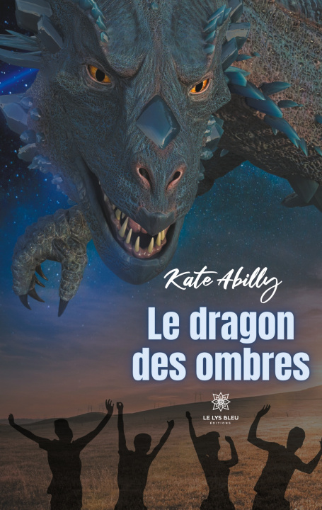 Kniha dragon des ombres 