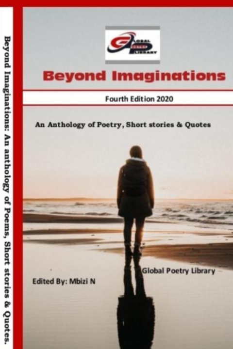 Knjiga BEYOND IMAGINATIONS Mbizi Norman Mbizi