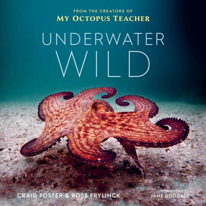 Книга Underwater Wild Ross Frylinck