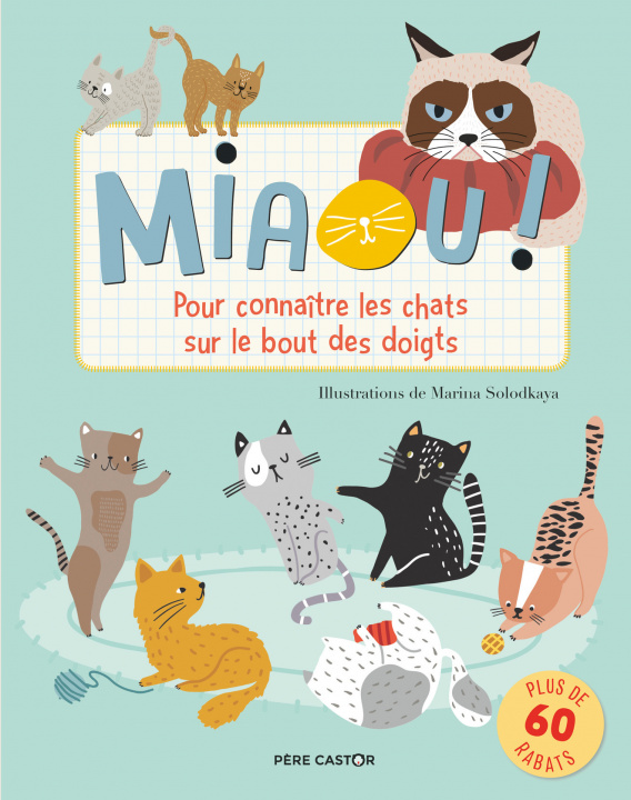 Buch Miaou ! Porter