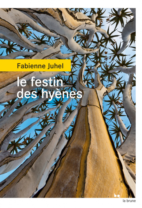 Könyv Le festin des hyènes Juhel