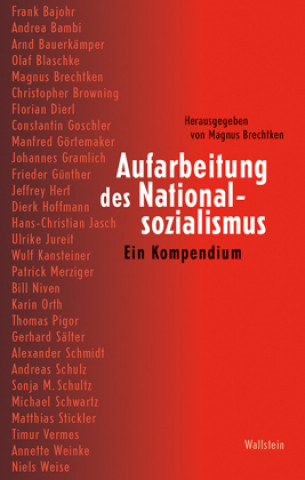 Kniha Aufarbeitung des Nationalsozialismus 
