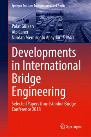 Book Developments in International Bridge Engineering Nurdan Memisoglu Apaydin