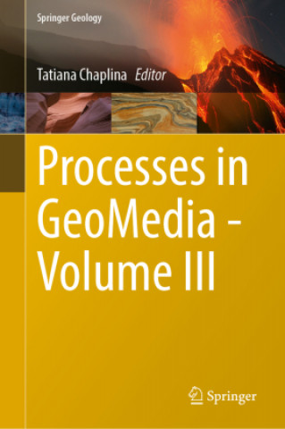 Buch Processes in GeoMedia?Volume III Tatiana Chaplina