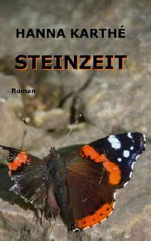 Knjiga Steinzeit Hanna Karthé