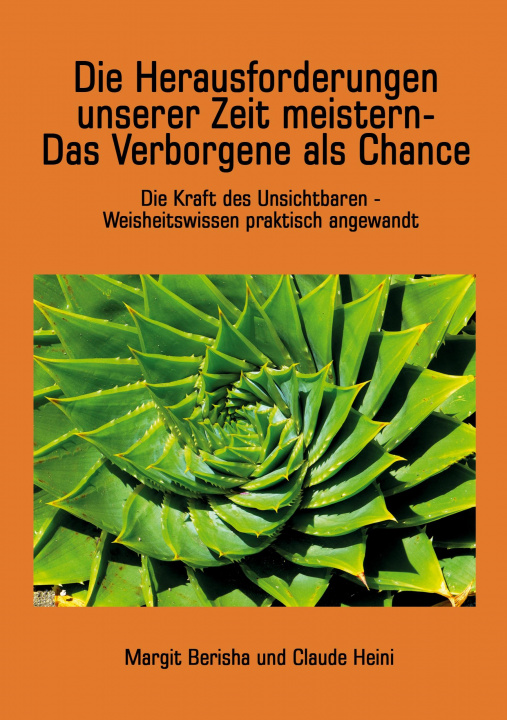 Knjiga Die Herausforderungen unserer Zeit meistern Claude Heini