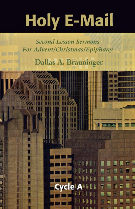 Knjiga Holy E-mail Dallas A. Brauninger