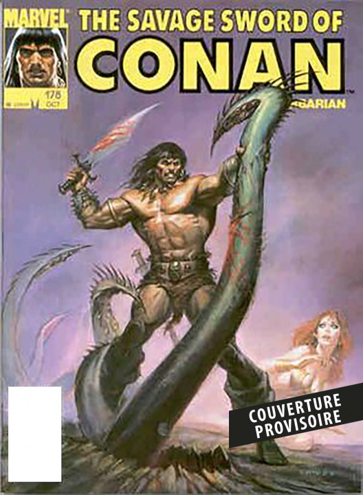 Książka Les chroniques de Conan : L'intégrale 1990 (II) (T30) 