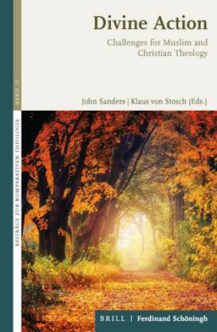 Книга Divine Action Klaus Von Stosch