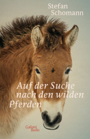 Kniha Auf der Suche nach den wilden Pferden 
