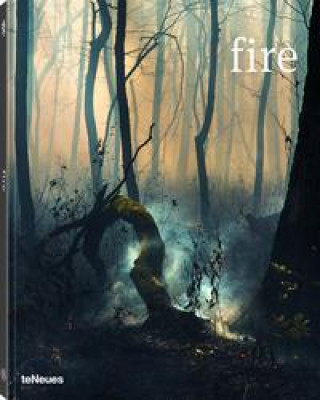 Книга Prix Pictet, Fire Französische Ausgabe 