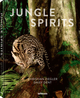 Книга Jungle Spirits (revised edition) Daisy Dent