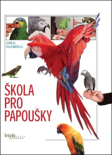 Book Škola pro papoušky Greg Glendell