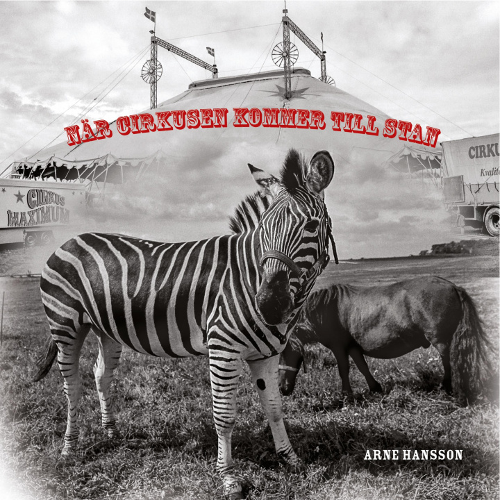 Libro När cirkusen kommer till stan 