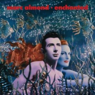 Audio Enchanted (2CD+1DVD Expanded Wallet Set) Marc Almond