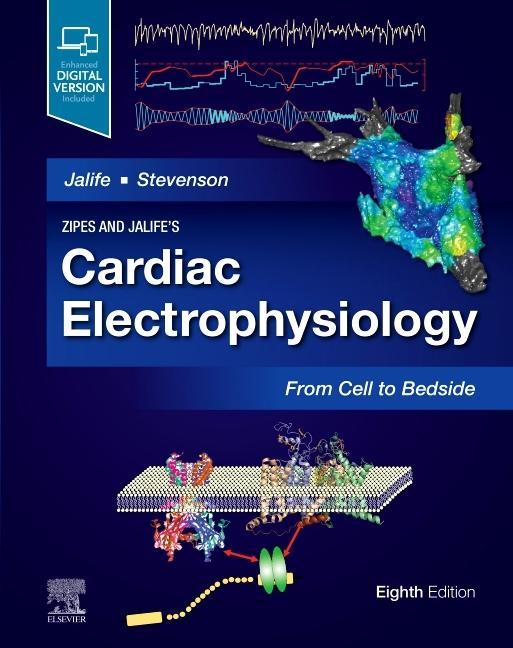 Kniha Zipes and Jalife's Cardiac Electrophysiology: From Cell to Bedside Jose Jalife