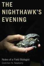 Könyv Nighthawk's Evening 