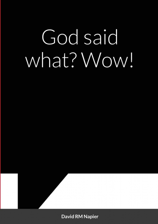 Книга God said what? Wow! David Napier