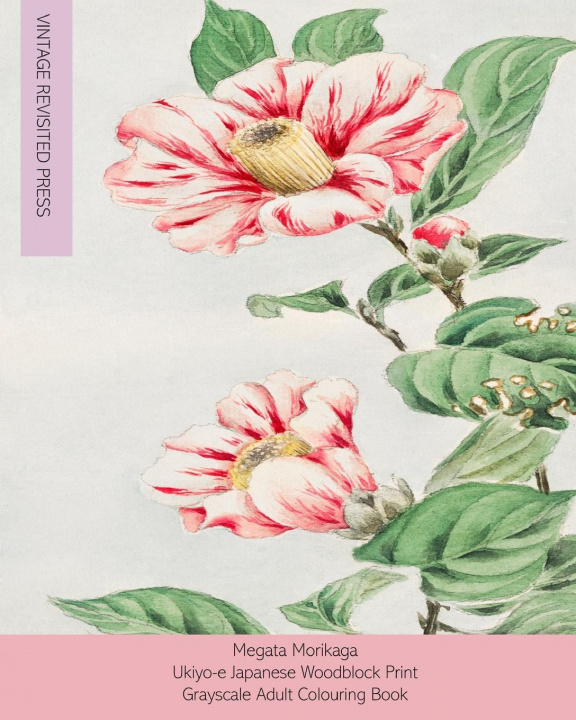 Knjiga Megata Morikaga Vintage Revisited Press