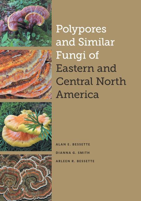 Könyv Polypores and Similar Fungi of Eastern and Central North America Alan E. Bessette
