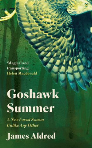 Książka Goshawk Summer ALDRED  JAMES