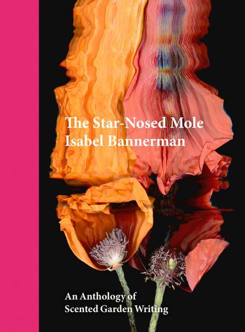 Knjiga Star-Nosed Mole Isabel Bannerman