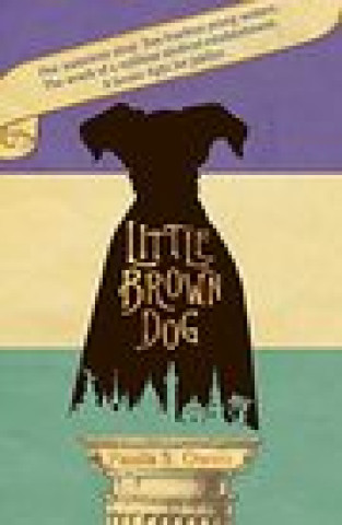 Книга Little Brown Dog Paula S Owen