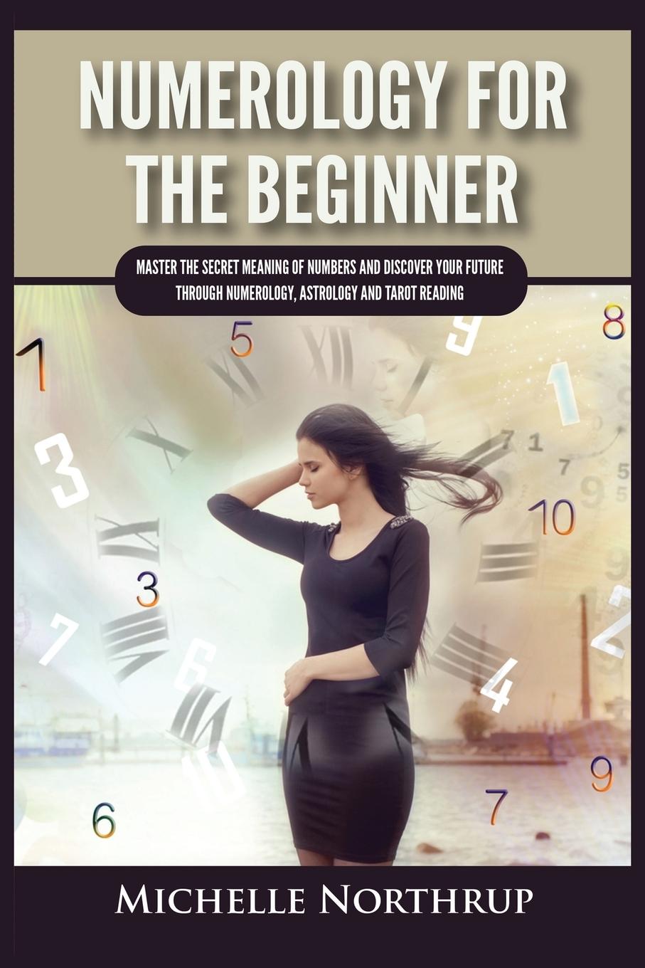 Knjiga Numerology For The Beginner Michelle Northrup