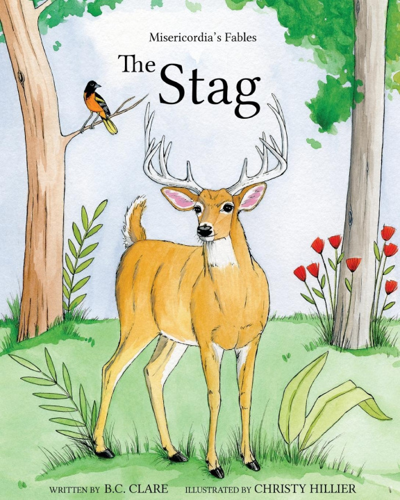 Knjiga Stag B. C. Clare