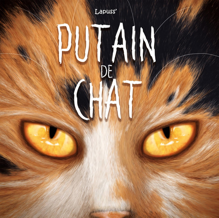 Knjiga Putain de chat T09 