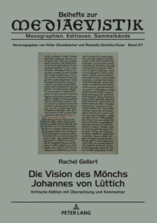 Boek Die Vision Des Moenchs Johannes Von Luettich Peter Dinzelbacher