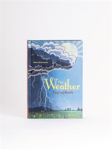 Kniha Weather Maike Biederstaedt