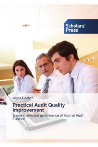 Knjiga Practical Audit Quality Improvement Joyce Gacheru