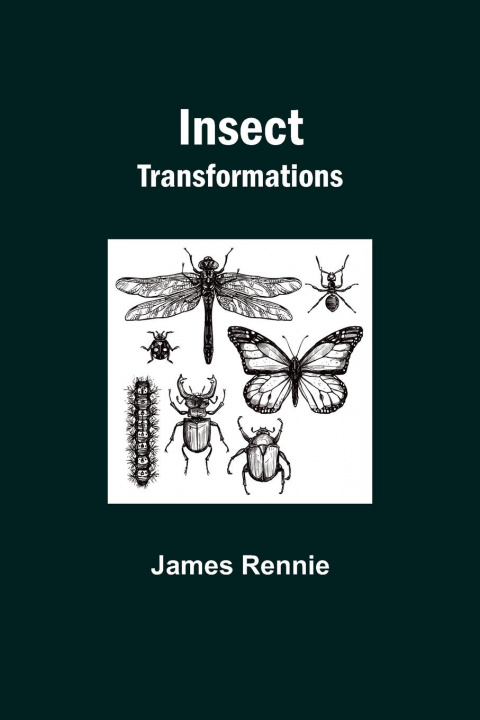 Knjiga Insect Transformations James Rennie