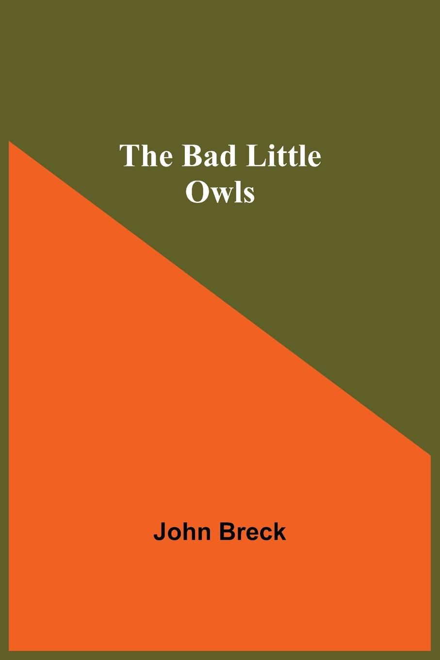 Книга Bad Little Owls 