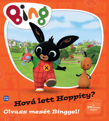 Könyv Bing - Hová lett Hoppity? 