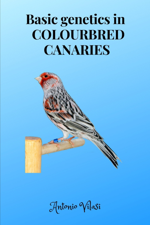 Knjiga Basic genetics in  COLOURBRED CANARIES Vilasi Antonio Vilasi