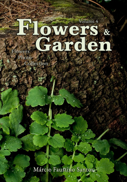 Книга Flowers and Garden Santos Marcio Faustino Santos