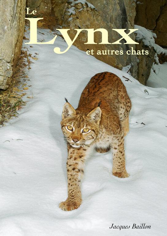 Carte Le lynx et autres chats Baillon